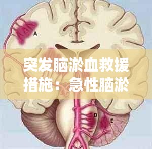 耳目闭塞 第3页