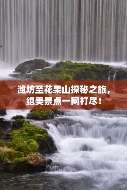潍坊至花果山探秘之旅，绝美景点一网打尽！