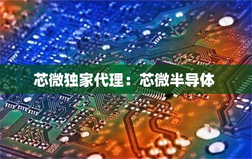 芯微独家代理：芯微半导体 