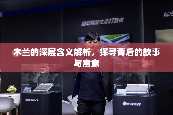 木兰的深层含义解析，探寻背后的故事与寓意