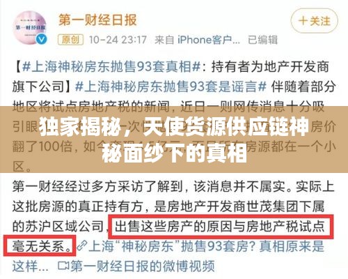 独家揭秘，天使货源供应链神秘面纱下的真相