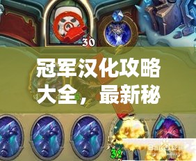 冠军汉化攻略大全，最新秘籍一网打尽