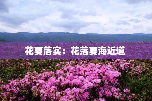 花夏落实：花落夏海近道 