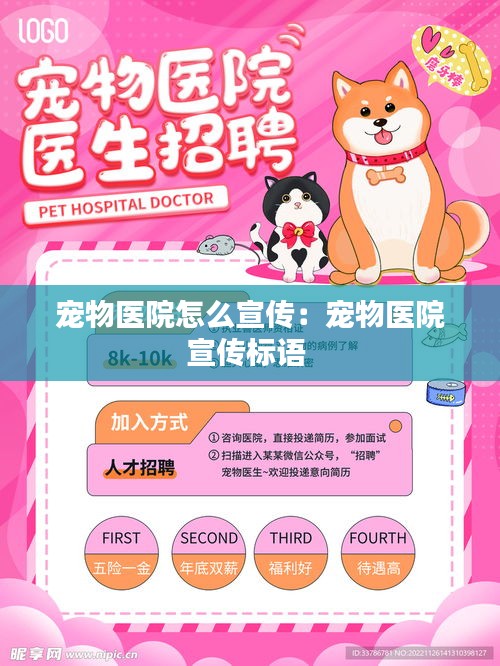 宠物医院怎么宣传：宠物医院宣传标语 