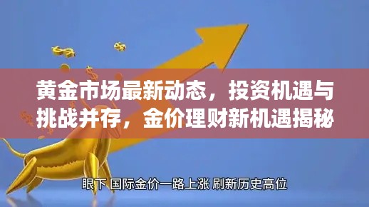 黄金市场最新动态，投资机遇与挑战并存，金价理财新机遇揭秘！