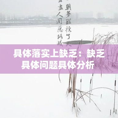 具体落实上缺乏：缺乏具体问题具体分析 