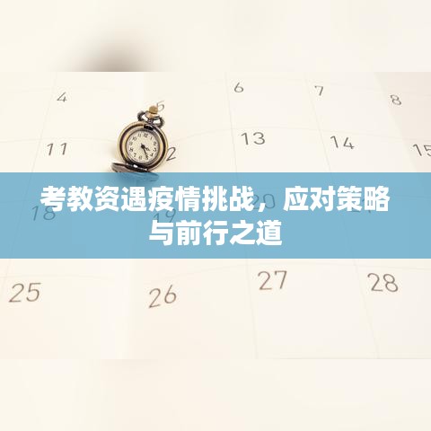 考教资遇疫情挑战，应对策略与前行之道