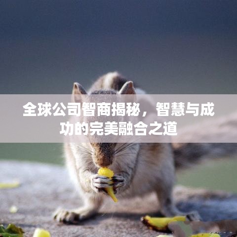 全球公司智商揭秘，智慧与成功的完美融合之道