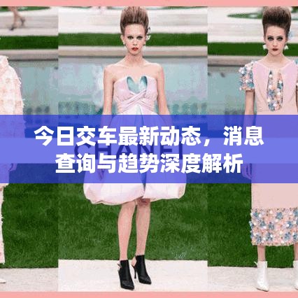 今日交车最新动态，消息查询与趋势深度解析