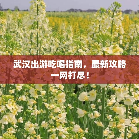 张三李四 第2页