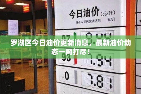 罗湖区今日油价更新消息，最新油价动态一网打尽！