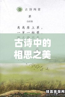 鸟云之阵 第2页