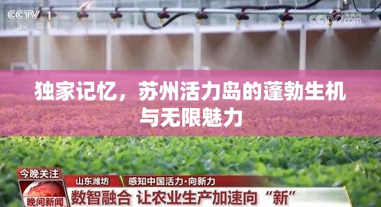 独家记忆，苏州活力岛的蓬勃生机与无限魅力