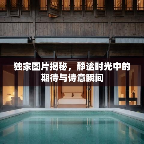 独家图片揭秘，静谧时光中的期待与诗意瞬间