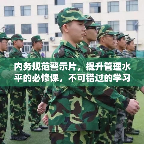内务规范警示片，提升管理水平的必修课，不可错过的学习指南！