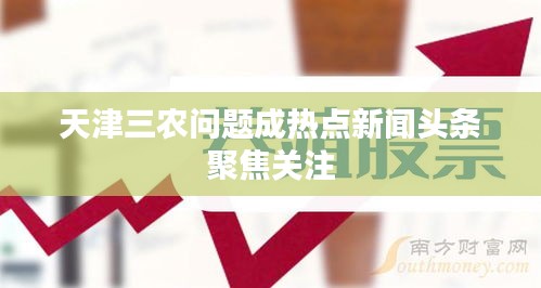 天津三农问题成热点新闻头条聚焦关注