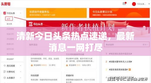 清新今日头条热点速递，最新消息一网打尽