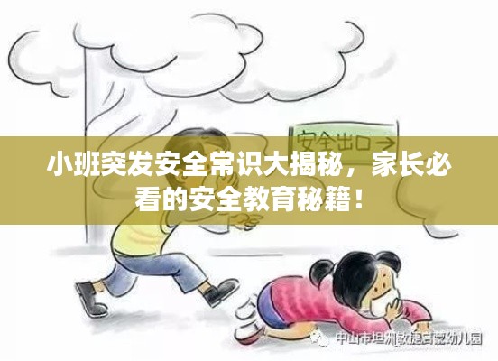 小班突发安全常识大揭秘，家长必看的安全教育秘籍！