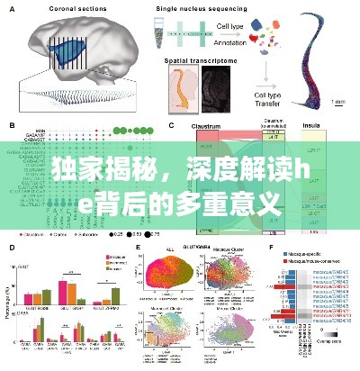独家揭秘，深度解读he背后的多重意义