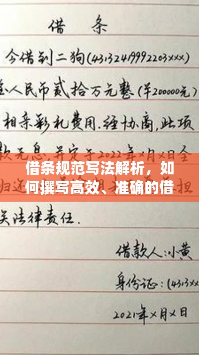 不飞则已