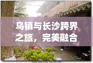 2025年5月15日 第4页