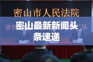 阿胶究竟有哪些功效 第7页