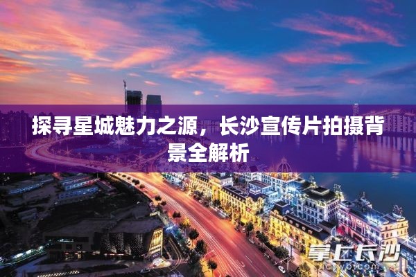 靡颜腻理