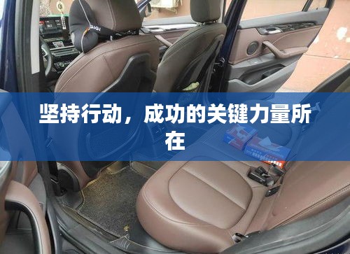 阿胶究竟有哪些功效 第4页