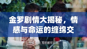 金罗剧情大揭秘，情感与命运的缠绵交织