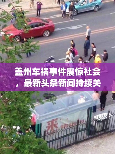 盖州车祸事件震惊社会，最新头条新闻持续关注