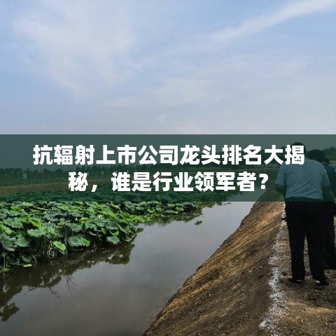 抗辐射上市公司龙头排名大揭秘，谁是行业领军者？