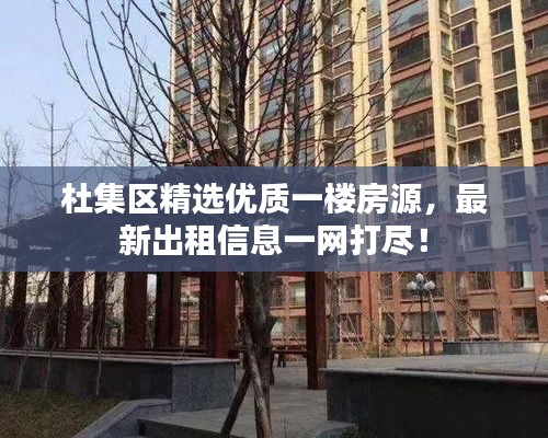 杜集区精选优质一楼房源，最新出租信息一网打尽！