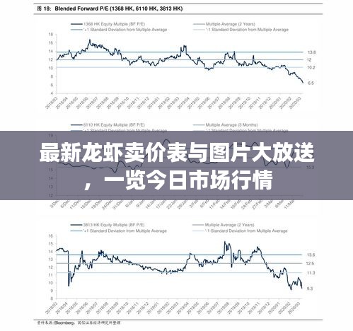 最新龙虾卖价表与图片大放送，一览今日市场行情