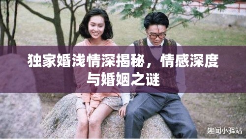2025年6月9日 第3页