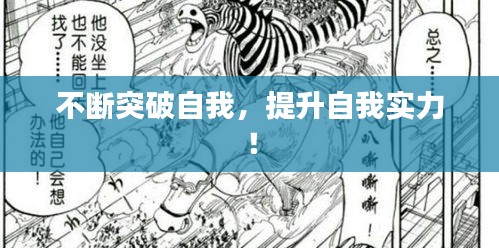 不断突破自我，提升自我实力！