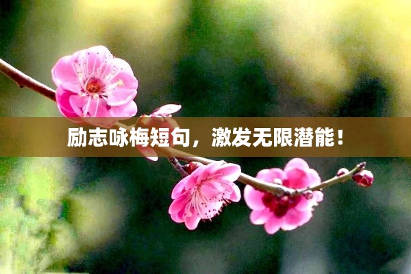 励志咏梅短句，激发无限潜能！